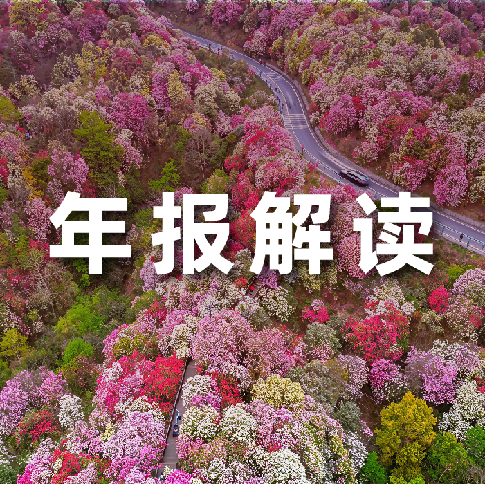 j9网站动力2025营收利润双增，全栈智能驱动增长，AI有关业务收入占比达52.6%  ?